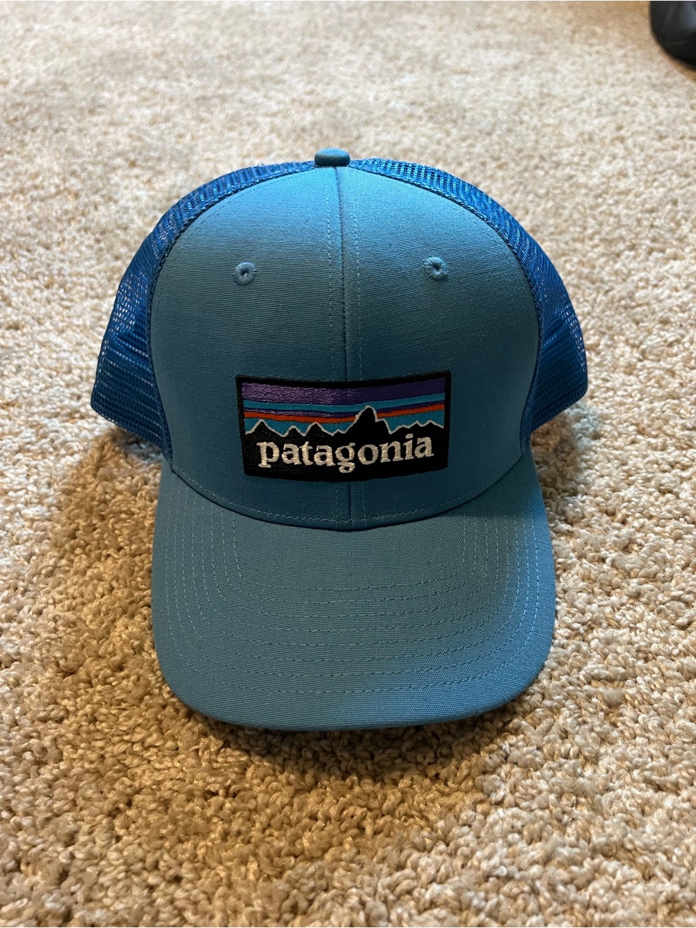Patagonia Men’s Trucker Hat